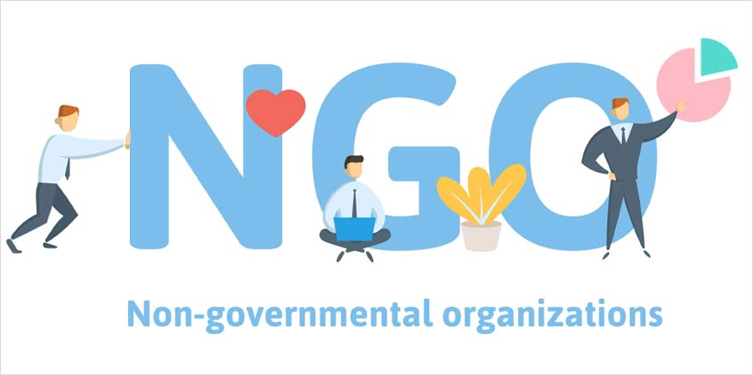 Self Regulation of Non-Governmental Organizations - Bellmac Consulting ...